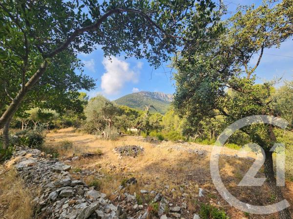 Terrain à vendre  5258 m2 LA VALETTE DU VAR - 83