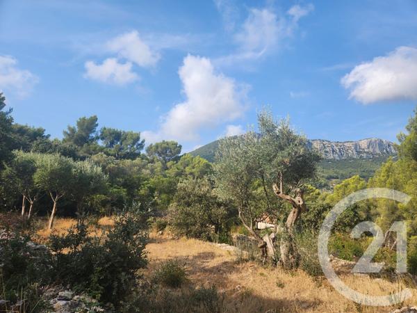 Terrain à vendre  5258 m2 LA VALETTE DU VAR - 83