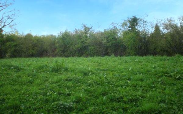 Terrain à vendre    La Brionne