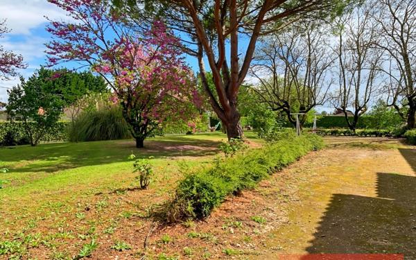 Maison à vendre    5 pièces •  Gaillac