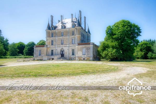 Propriété d’exception – Château XIXe à CHANTONNAY (85)