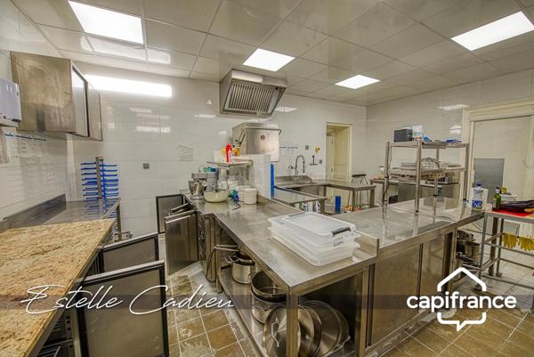 Propriété d’exception – Château XIXe à CHANTONNAY (85)