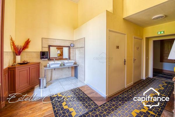 Propriété d’exception – Château XIXe à CHANTONNAY (85)