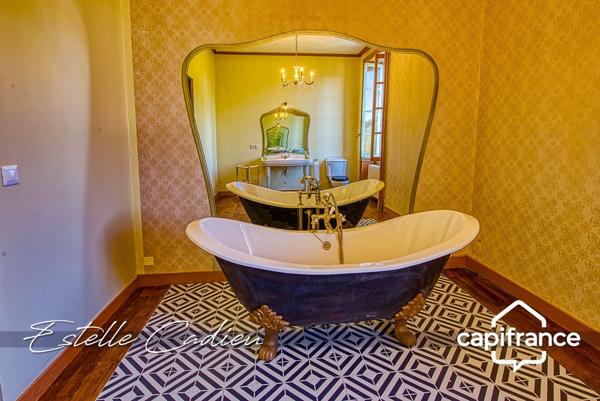 Propriété d’exception – Château XIXe à CHANTONNAY (85)