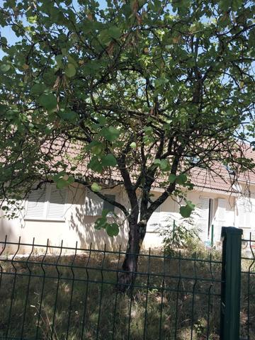 Vente Maison T3, Poitiers - Beaulieu
