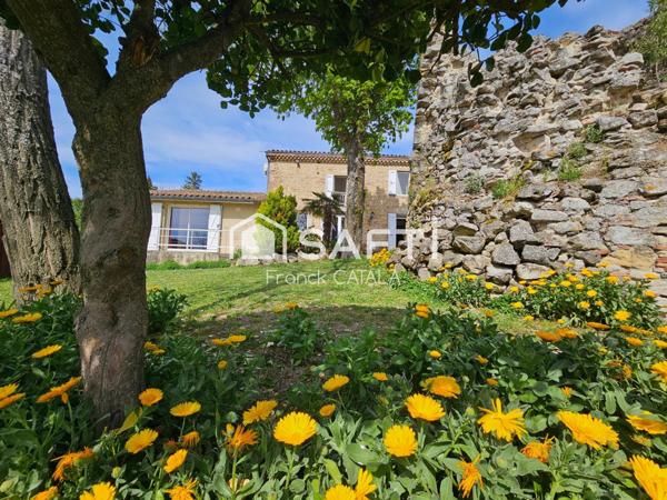 Beaucoup de cachet et vue Pyrénées