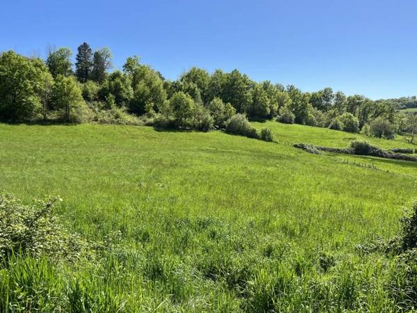 Terrain à vendre |  Meyssac |  12740 m²