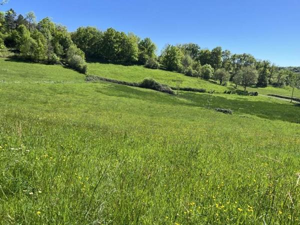 Terrain à vendre |  Meyssac |  12740 m²