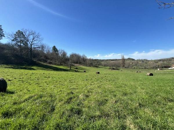 Terrain à vendre |  Meyssac |  12740 m²