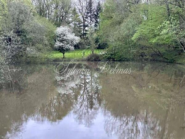 Maison à vendre 16 pièces proche de TOURS (37)