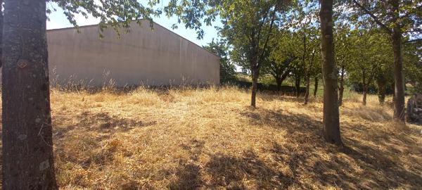Terrain à vendre de 731 m² à Divatte sur Loire - Exposition Sud-Ouest