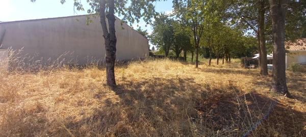 Terrain à vendre de 731 m² à Divatte sur Loire - Exposition Sud-Ouest
