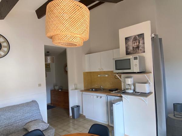 LAMALOU LES BAINS - Appartement meublé - 1 pièce(s) - 24.80 m2 - 460 € CC