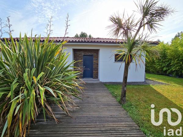 Maison à vendre 6 pièces 137 m² Belin-Béliet