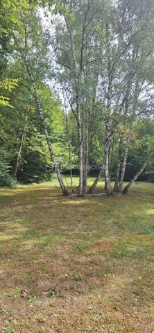 Terrain de loisirs de 2 254 m²