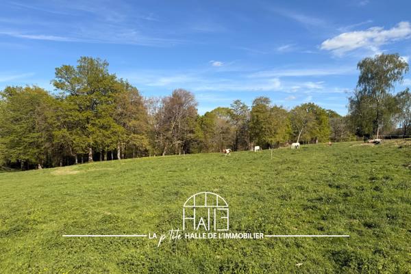 Terrain - 2253 m² Exclusivité