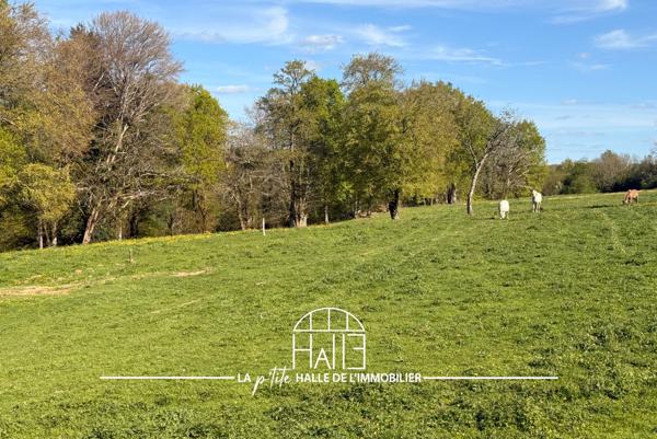 Terrain - 2253 m² Exclusivité