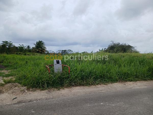 Vente Terrain1016 m² - SAINTE ANNE (97180)