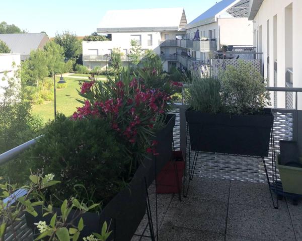 Splendide appartement F3 CHESSY bourg