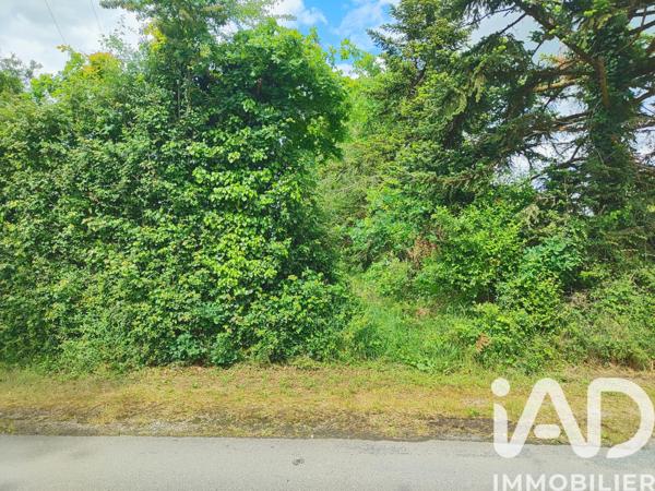 Terrain à vendre 1 935 m² Ansac-sur-Vienne