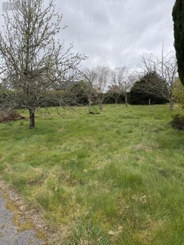 Maison à vendre à Elven dans le Morbihan (56250), ref : 56002-1520