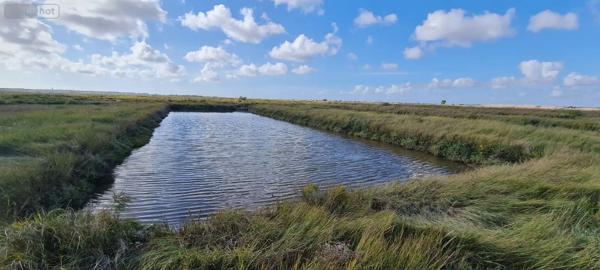 Achat - Terrain de loisirs, bois, étangs | Terrain non constructible Le Gua 17600 3210 m 2