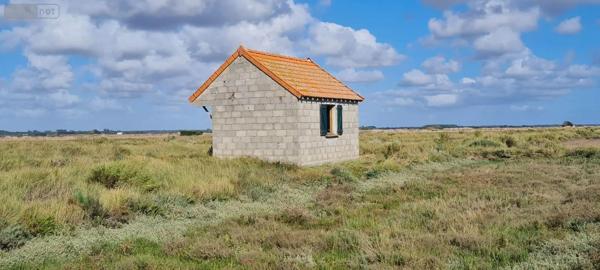 Achat - Terrain de loisirs, bois, étangs | Terrain non constructible Le Gua 17600 3210 m 2