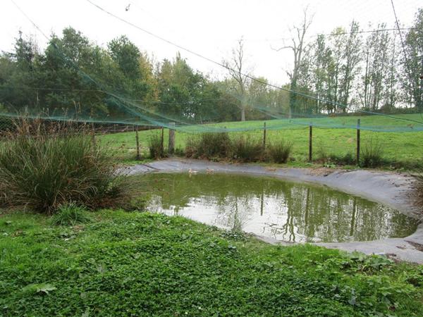 Maison  3 ha Balleroy 6 pièce(s) 125 m2