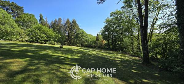 En lisière de la forêt