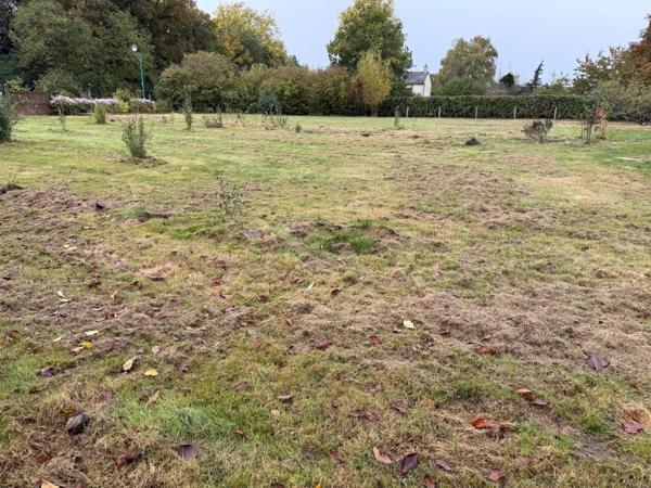 A saisir  très beau terrain.