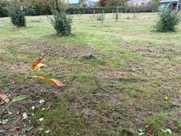 A saisir  très beau terrain.