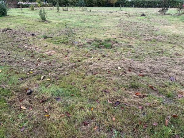 A saisir  très beau terrain.