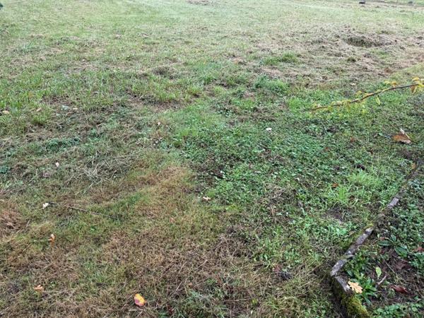 A saisir  très beau terrain.