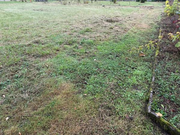 A saisir  très beau terrain.