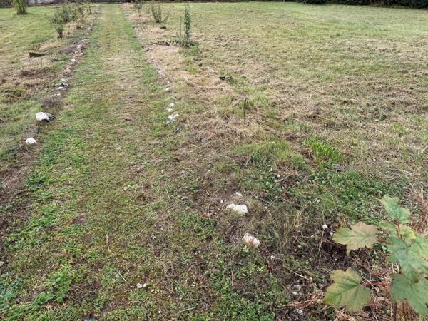 A saisir  très beau terrain.