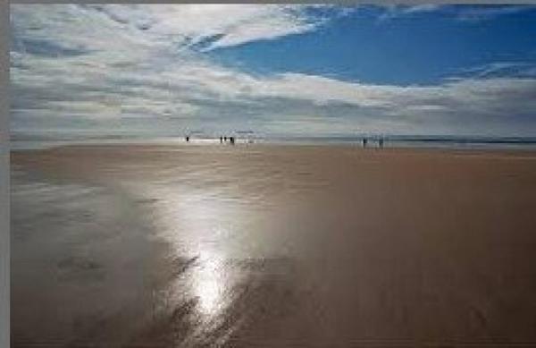 Bar café prêt à exploiter — qualité et rentabilité garanties !