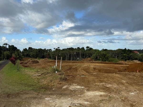 A VENDRE : Terrain 517m² en lotissement