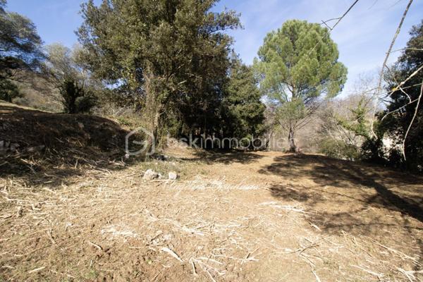 Terrain de 2 412 m²