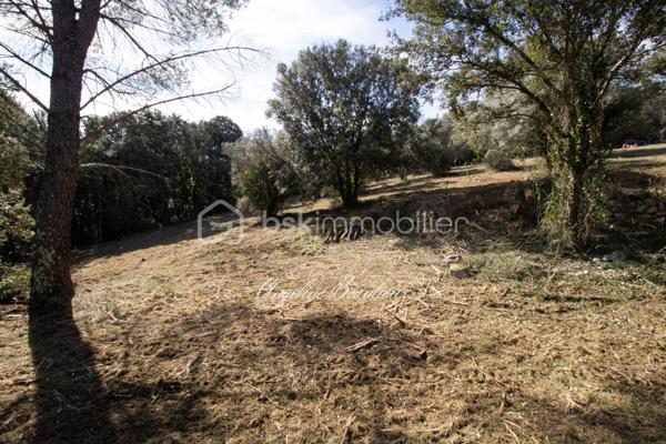 Terrain de 2 412 m²