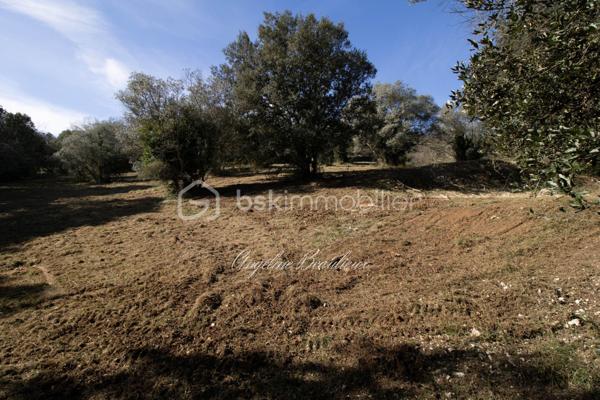 Terrain de 2 412 m²