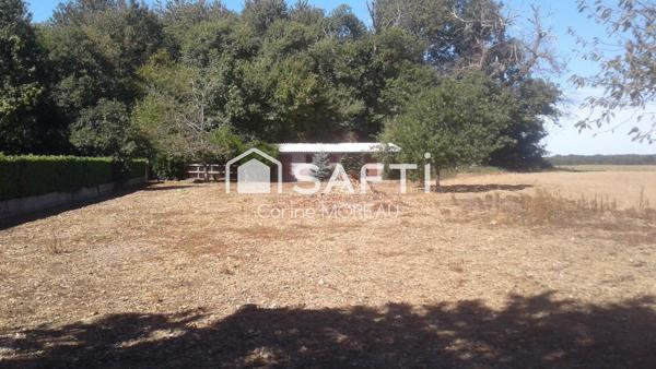 Terrain constructible de 910M² en partie clôturé