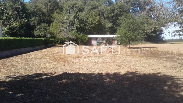 Terrain constructible de 910M² en partie clôturé