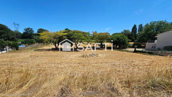 Terrain constructible,800m²,arboré,non viabilisé