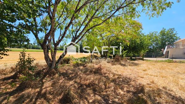 Terrain constructible,800m²,arboré,non viabilisé