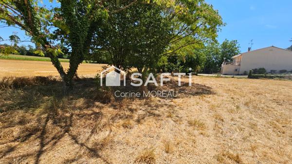 Terrain constructible,800m²,arboré,non viabilisé