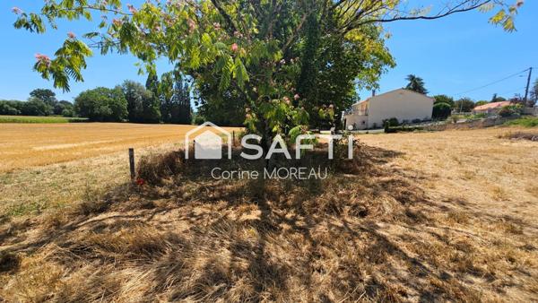 Terrain constructible,800m²,arboré,non viabilisé