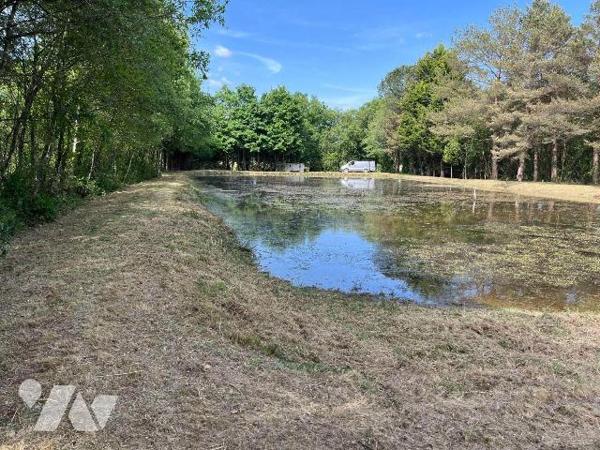NOUVEAUTE ET UNIQUEMENT CHEZ TRENTE CINQ NOTAIRES !! Sur la commune de RENAC, terrain de loisir...