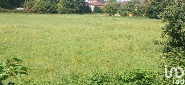 Terrain à vendre 8 589 m² Condé-sur-l'Escaut