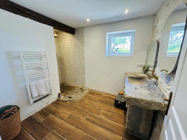 Vente Maison 8 pièces 377 m2 à Hastingues