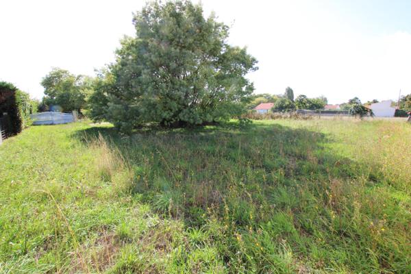 Plain pied non mitoyen sur un terrain de 1385 m²